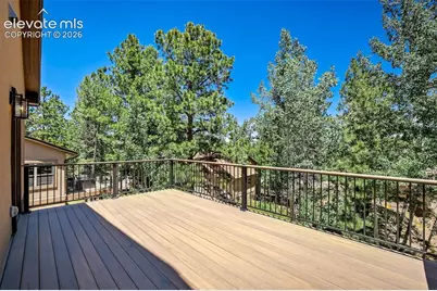 620 Misty Pines Circle, Woodland Park, CO 80863 - Photo 16