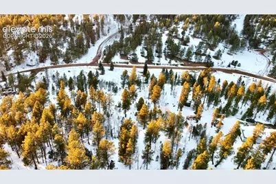 974 W Bison Creek Trail, Divide, CO 80814 - Photo 32