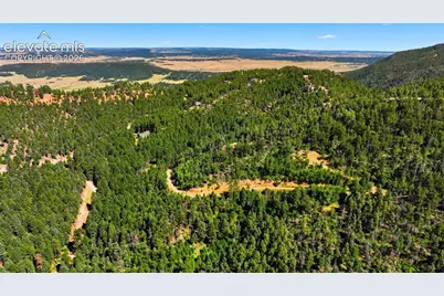 13464 S Firedog Way, Larkspur, CO 80118 - Photo 4