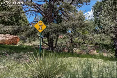 3455 Black Canyon Road, Colorado Springs, CO 80904 - Photo 16