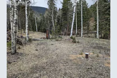 146 Waterfall Loop, Manitou Springs, CO 80829 - Photo 4