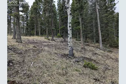 146 Waterfall Loop, Manitou Springs, CO 80829 - Photo 6