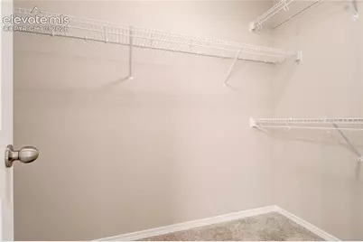 10387 Rockery Street, Colorado Springs, CO 80924 - Photo 20