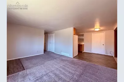 1315 Maxwell Street, Colorado Springs, CO 80906 - Photo 6