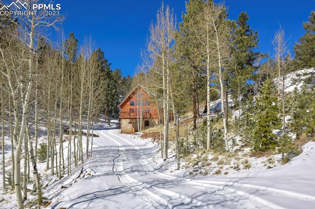 35 Horseshoe Dr, Divide, CO 80814