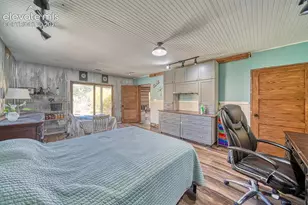 294 Vista de Agua Trail, Westcliffe, CO 81252 - Photo 28