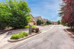 6699 Bethesda Point, Colorado Springs, CO 80918 - Photo 8