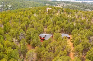 120 Elkhorn Dr, Woodland Park, CO 80863 - Photo 38