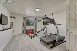 10339 Peach Blossom Trail, Colorado Springs, CO 80920 - Photo 36