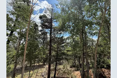 242 Apache Creek Drive, Florissant, CO 80816 - Photo 6