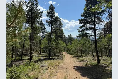 242 Apache Creek Drive, Florissant, CO 80816 - Photo 4