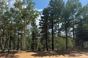 242 Apache Creek Dr, Florissant, CO 80816 - Photo 1