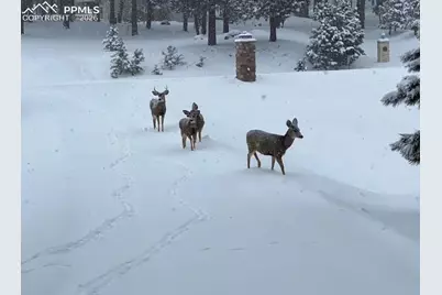 18890 Wing Tip Road, Colorado Springs, CO 80908 - Photo 42