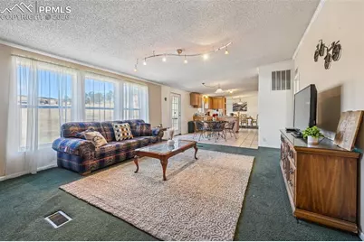 966 County Road 411, Florissant, CO 80816 - Photo 24