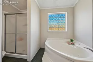 966 Co Rd 411, Florissant, CO 80816 - Photo 16