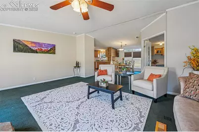 966 County Road 411, Florissant, CO 80816 - Photo 8