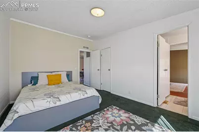 966 County Road 411, Florissant, CO 80816 - Photo 30