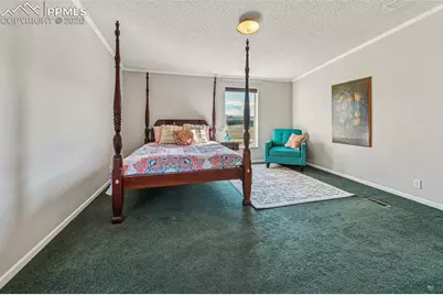 966 County Road 411, Florissant, CO 80816 - Photo 12