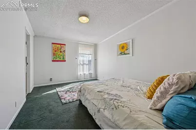 966 County Road 411, Florissant, CO 80816 - Photo 34