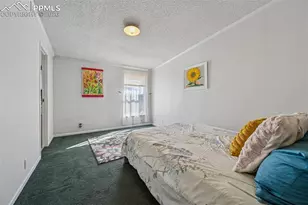 966 Co Rd 411, Florissant, CO 80816 - Photo 34