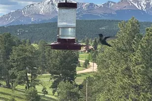 231 S Forty Rd, Woodland Park, CO 80863 - Photo 50