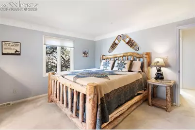 231 S Forty Road, Woodland Park, CO 80863 - Photo 28