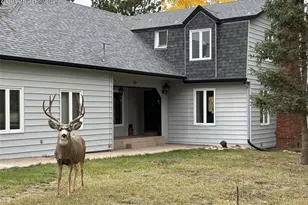 231 S Forty Rd, Woodland Park, CO 80863 - Photo 36