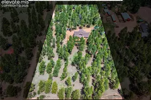 27638 Triple B Rd, Woodland Park, CO 80863 - Photo 46