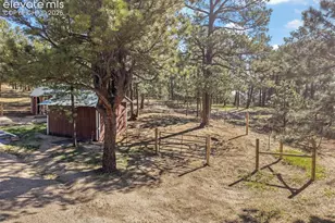 15120 Tanner Trail, Elbert, CO 80106 - Photo 48
