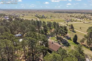 15120 Tanner Trail, Elbert, CO 80106 - Photo 46