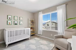 6843 Lily Mountain Ln, Colorado Springs, CO 80923 - Photo 22