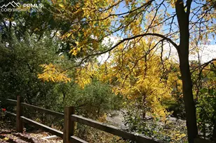 2609 Hatch Cir, Colorado Springs, CO 80918 - Photo 30