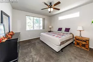 6829 Red Cardinal Loop, Colorado Springs, CO 80908 - Photo 18