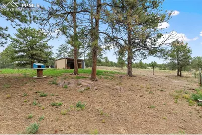 1703 Arapahoe Drive, Florissant, CO 80816 - Photo 34