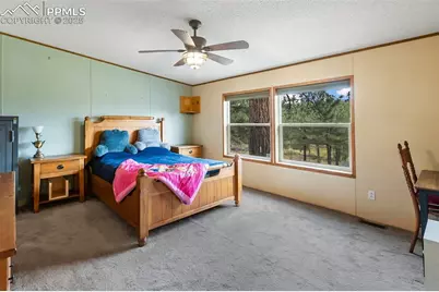 1703 Arapahoe Drive, Florissant, CO 80816 - Photo 22