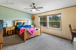 1703 Arapahoe Dr, Florissant, CO 80816 - Photo 22