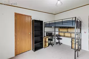 1703 Arapahoe Dr, Florissant, CO 80816 - Photo 24