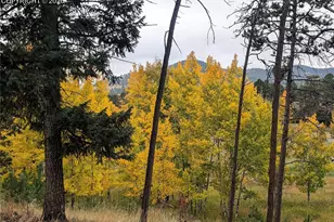 931 Heather Ct, Woodland Park, CO 80863 - Photo 42