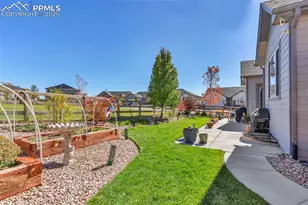 6703 Dancing Wind Dr, Colorado Springs, CO 80923 - Photo 46