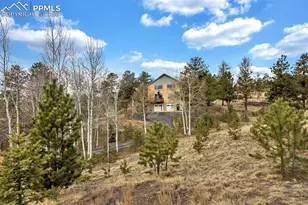 38 Kingston Dr, Florissant, CO 80816 - Photo 44