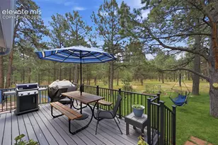 14355 Rankin Rd, Elbert, CO 80106 - Photo 40