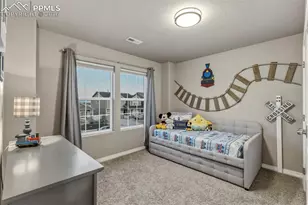 8164 Glory Dr, Colorado Springs, CO 80924 - Photo 32