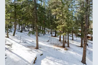 2619 Sunnywood Avenue, Woodland Park, CO 80863 - Photo 46