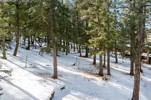 2619 Sunnywood Ave, Woodland Park, CO 80863 - Photo 46