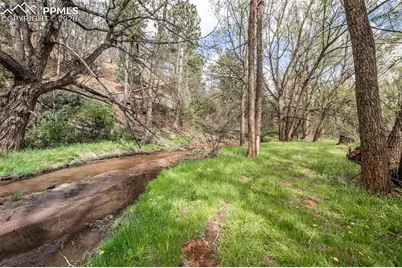 8850 Chipita Park Road, Cascade, CO 80809 - Photo 50