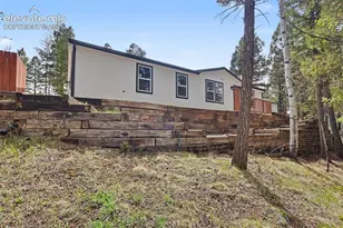 151 Banner Trail, Florissant, CO 80816 - Photo 2