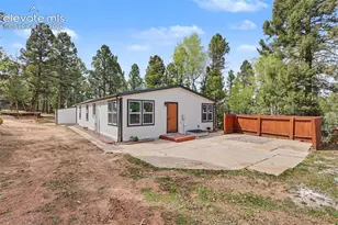 151 Banner Trail, Florissant, CO 80816 - Photo 44
