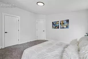 151 Banner Trail, Florissant, CO 80816 - Photo 24