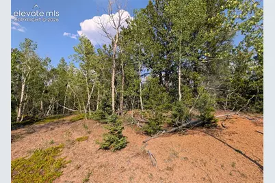 Fairview Drive, Cripple Creek, CO 80813 - Photo 18