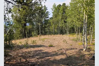 Fairview Drive, Cripple Creek, CO 80813 - Photo 12